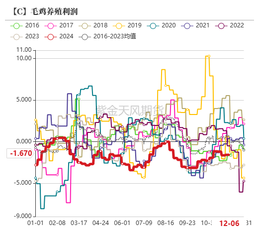 玉米：静待花开